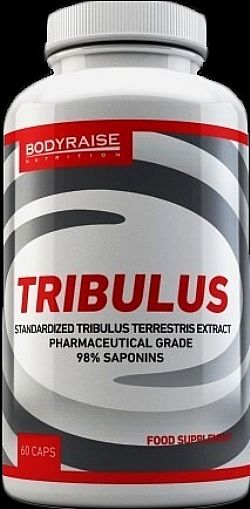 BODYRAISE/ TRIBULUS 60 CAPS